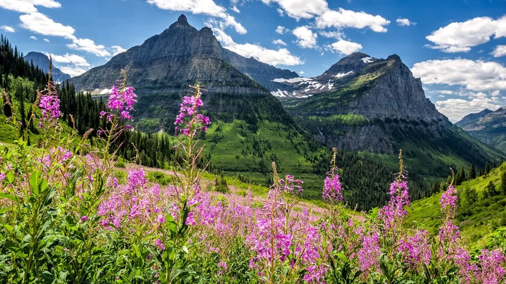 Canada miễn phí tham quan công viên quốc gia, giảm giá tàu hỏa để kích cầu du lịch- Ảnh 1. Canada miễn phí tham quan công viên quốc gia, giảm giá tàu hỏa để kích cầu du lịch- Ảnh 1.