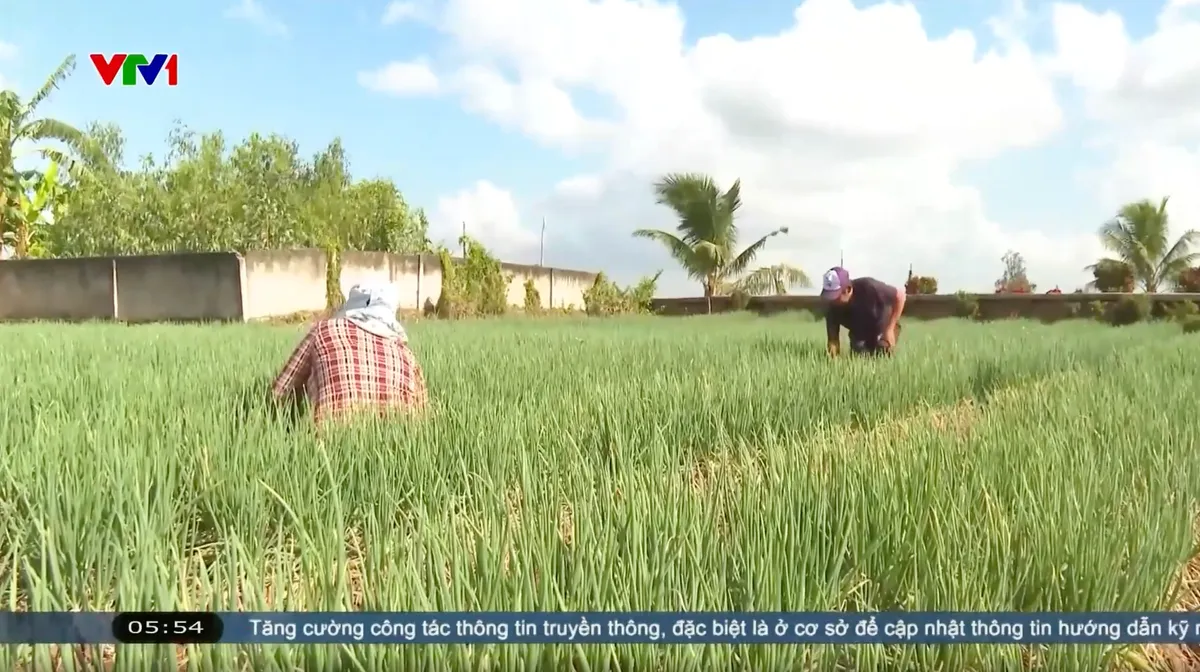 Thách thức nâng chuẩn nông thôn mới và nông thôn mới hiện đại - Ảnh 1.