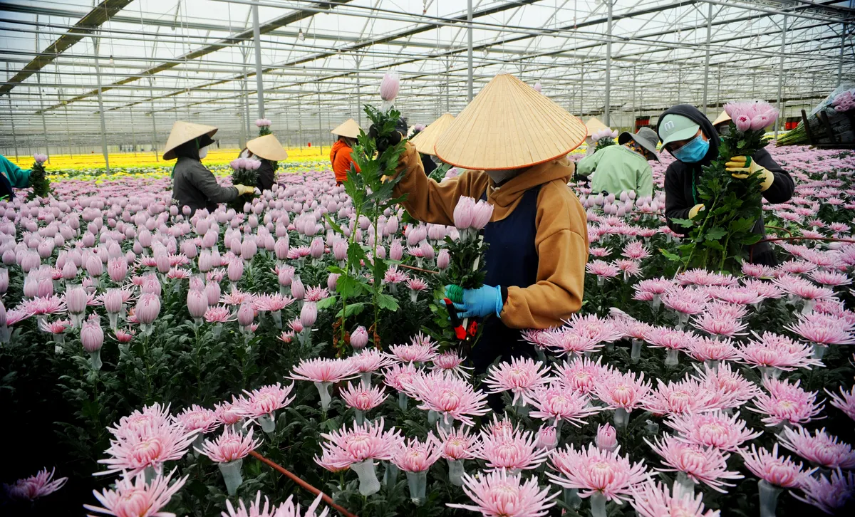 N&ocirc;ng nghiệp CNC: Cuộc chơi lớn tr&ecirc;n c&aacute;nh đồng Việt - Ảnh 1.