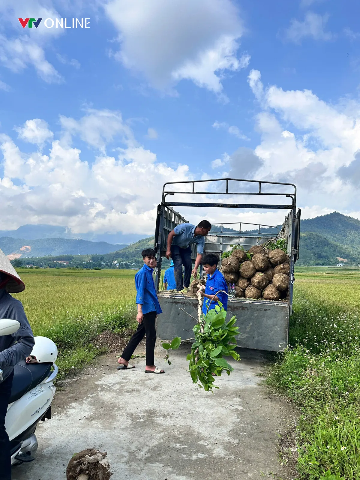Thanh niên Lai Châu phát động “Tết trồng cây đời đời nhớ ơn Bác Hồ” - Ảnh 4.