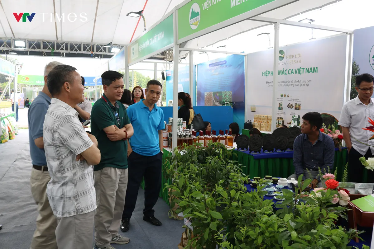 Sắc xanh từ những gian h&agrave;ng OCOP nơi phố n&uacute;i Lai Ch&acirc;u - Ảnh 6.