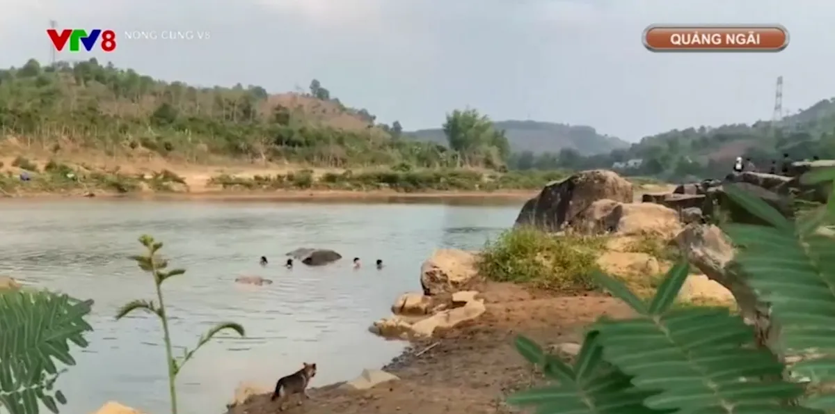 Cảnh b&aacute;o gia tăng c&aacute;c vụ đuối nước đối với trẻ em v&ugrave;ng s&acirc;u, v&ugrave;ng cao.- Ảnh 1.