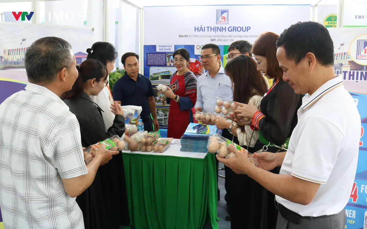 Chia sẻ kinh nghiệm phát triển nông nghiệp xanh bền vững. Ảnh: Quốc Hưng