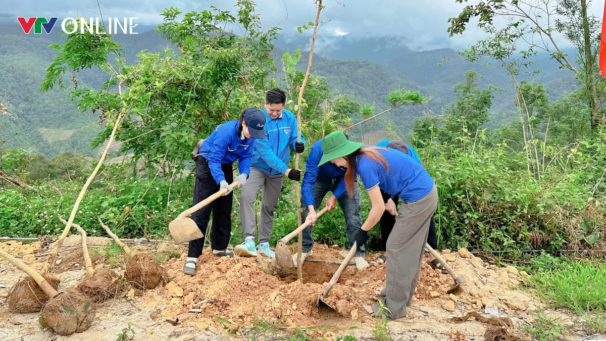 Thanh niên Lai Châu phát động “Tết trồng cây đời đời nhớ ơn Bác Hồ” - Ảnh 1.