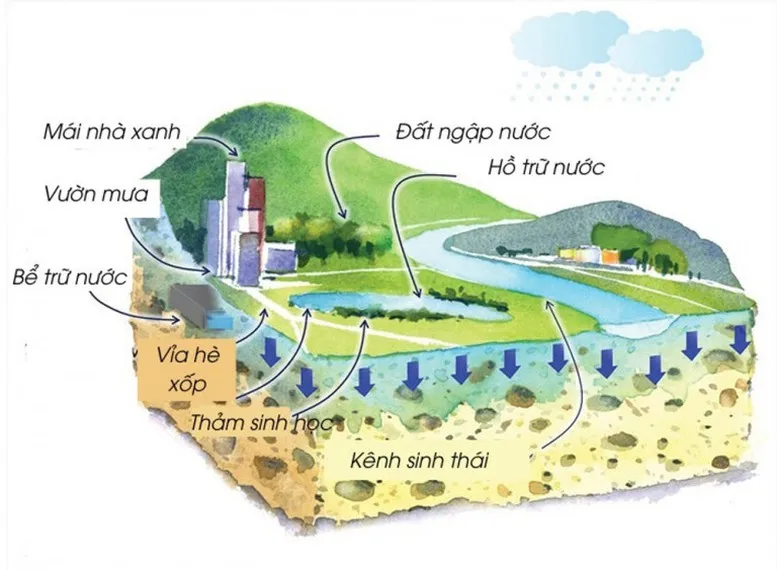 Hà Nội sẽ chống ngập bằng mô hình 'thành phố bọt biển'- Ảnh 1. Hà Nội sẽ chống ngập bằng mô hình 'thành phố bọt biển'- Ảnh 1.