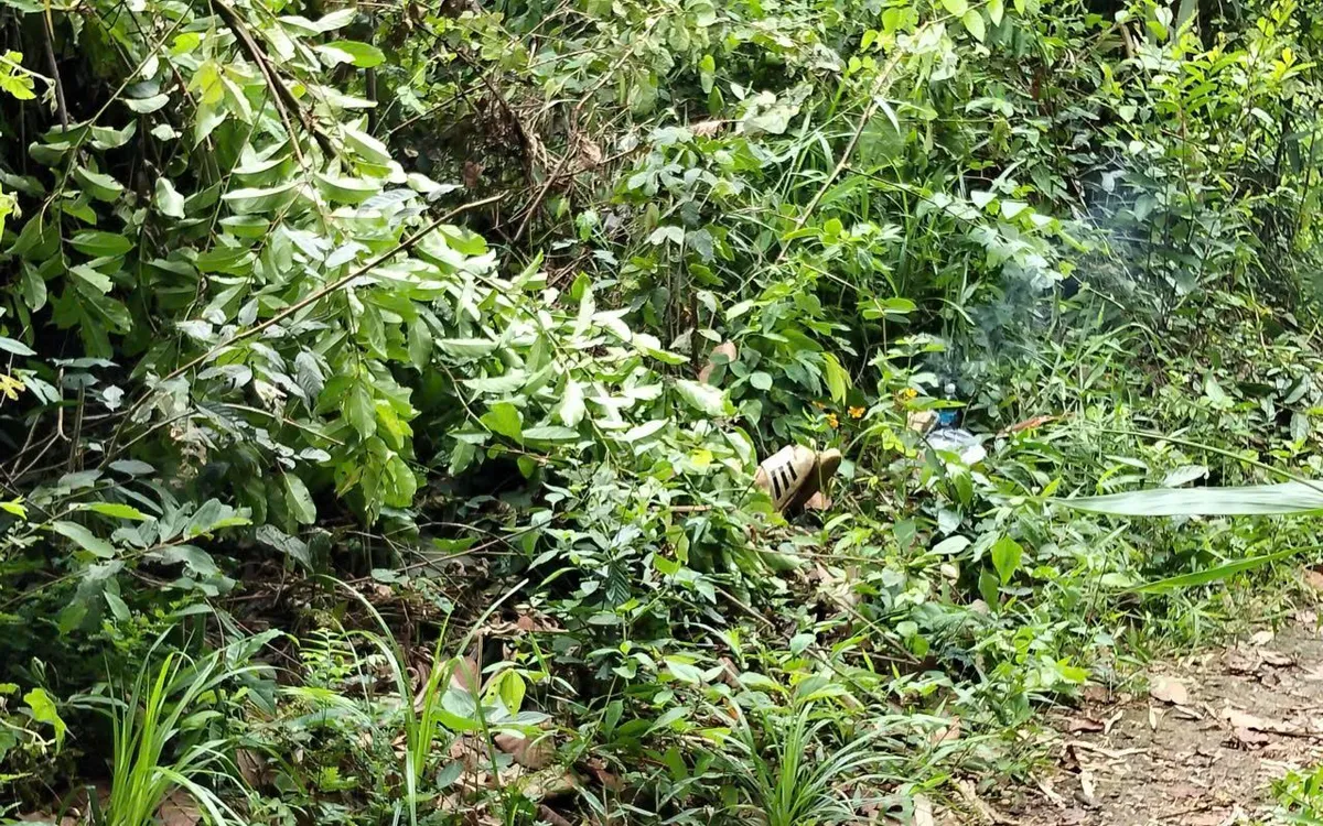 Người đàn ông bị điện phóng tử vong khi đi bẫy chim
