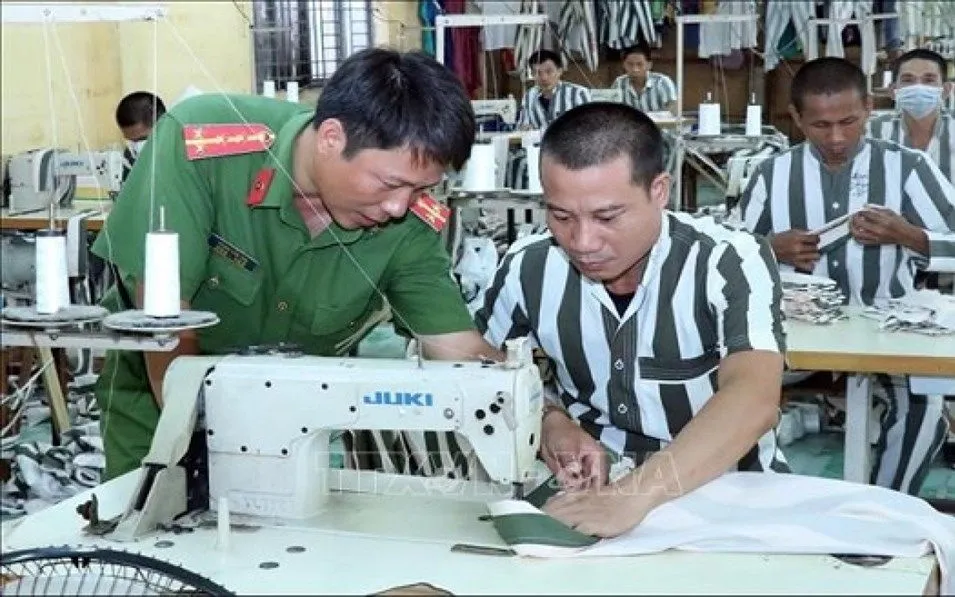 Ảnh minh họa 