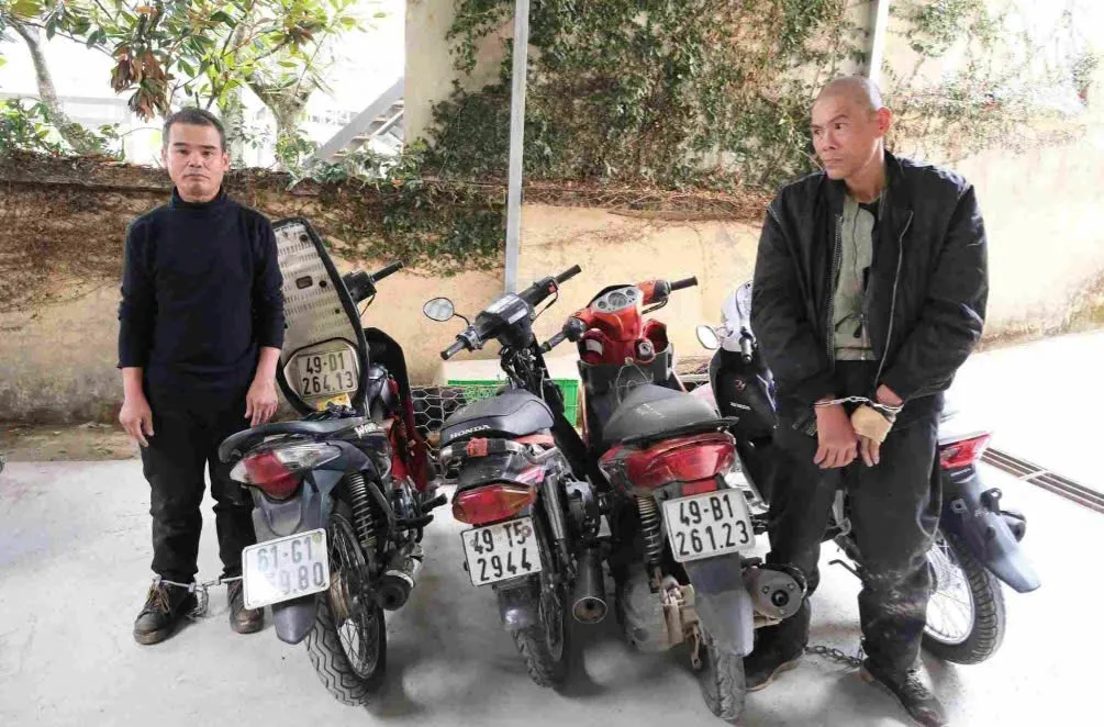 Triệt phá nhóm chuyên trộm chó, mèo gây bức xúc tại Đà Lạt- Ảnh 1. Triệt phá nhóm chuyên trộm chó, mèo gây bức xúc tại Đà Lạt- Ảnh 1.