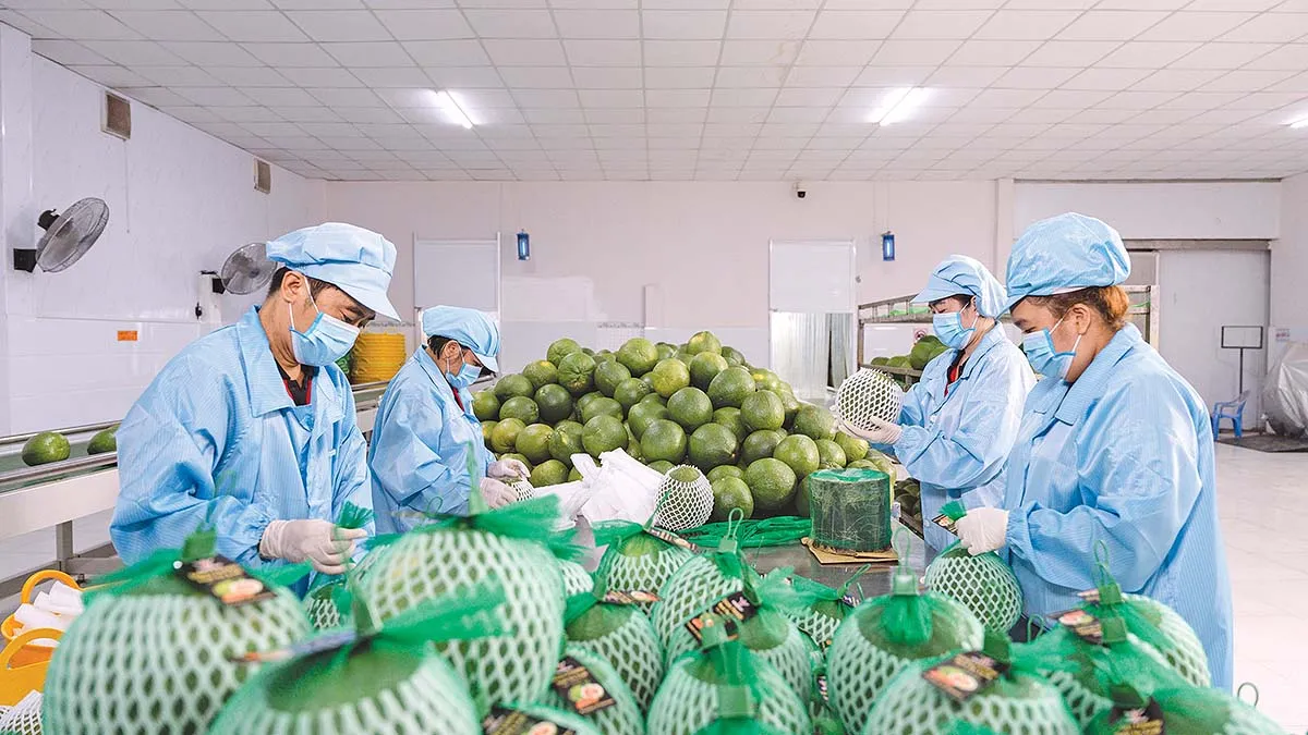 Doanh nghiệp chờ hệ thống vận h&agrave;nh thống nhất- Ảnh 1.