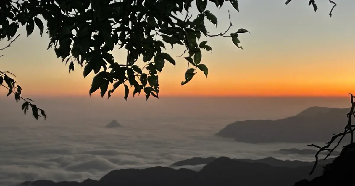 Vân Sam: Điểm hẹn chữa lành nơi đại ngàn sương phủ- Ảnh 2. Vân Sam: Điểm hẹn chữa lành nơi đại ngàn sương phủ- Ảnh 2.