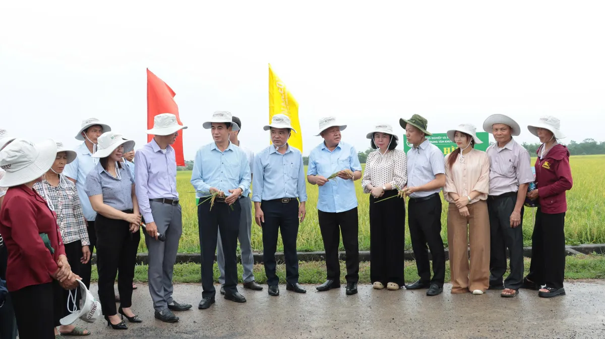 Hà Nội đẩy mạnh cơ giới hóa, mở rộng liên kết tiêu thụ trong sản xuất lúa vụ Xuân 2026 - Ảnh 1.