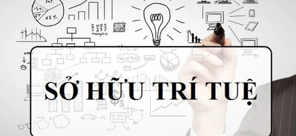 Bảo hộ sở hữu trí tuệ và cuộc chiến chống xâm phạm bản quyền trên không gian số- Ảnh 2. Bảo hộ sở hữu trí tuệ và cuộc chiến chống xâm phạm bản quyền trên không gian số- Ảnh 2.