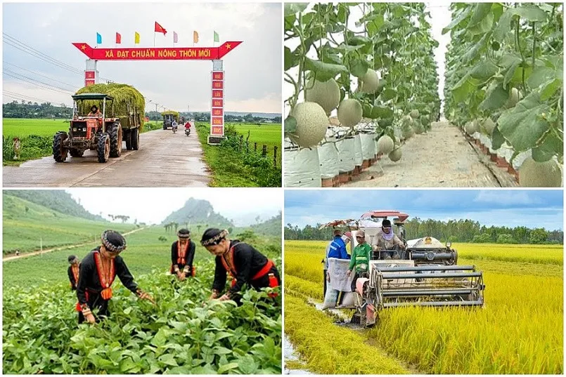 Thủ tướng yêu cầu đẩy nhanh tiến độ các chương trình nông thôn mới, giảm nghèo và phát triển vùng dân tộc thiểu số- Ảnh 1. Thủ tướng yêu cầu đẩy nhanh tiến độ các chương trình nông thôn mới, giảm nghèo và phát triển vùng dân tộc thiểu số- Ảnh 1.