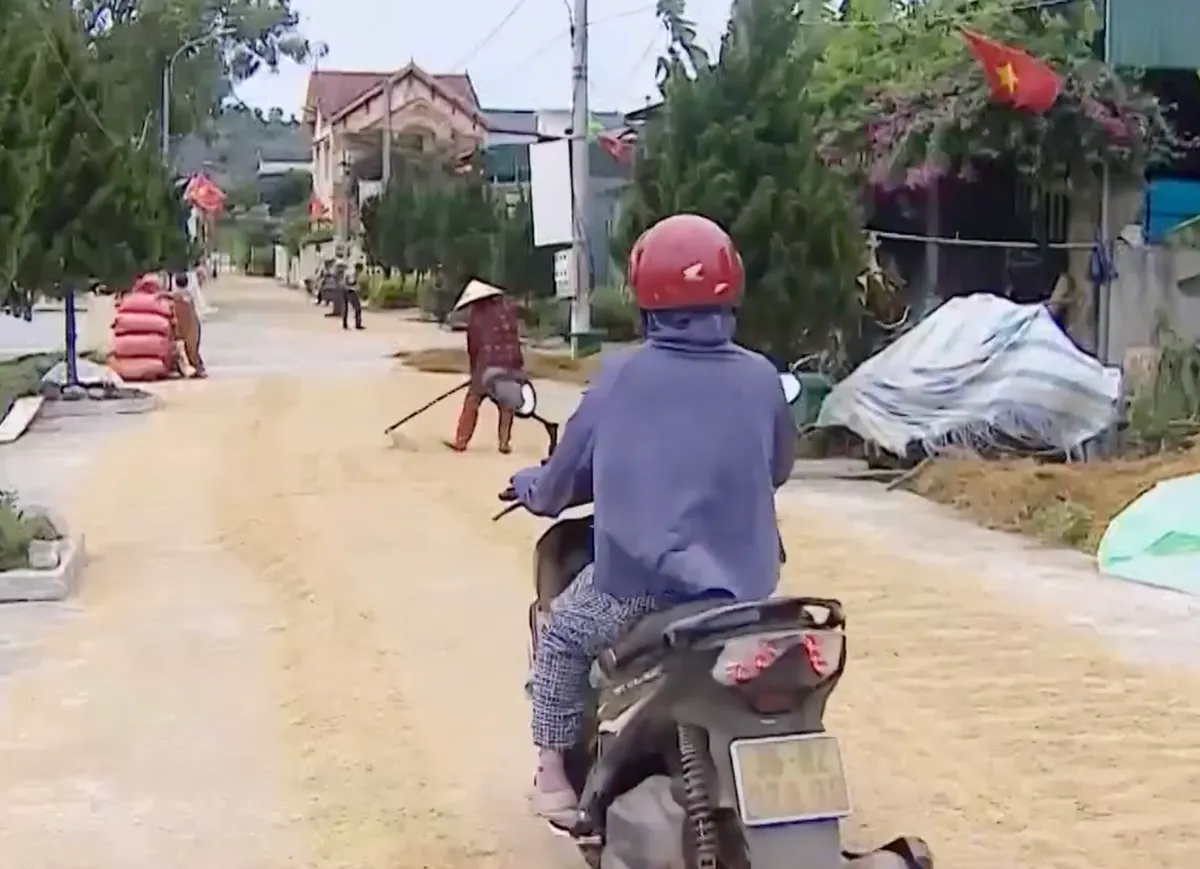 Hiểm nguy từ tình trạng phơi thóc, lúa trên lòng đường giao thông- Ảnh 7. Hiểm nguy từ tình trạng phơi thóc, lúa trên lòng đường giao thông- Ảnh 7.