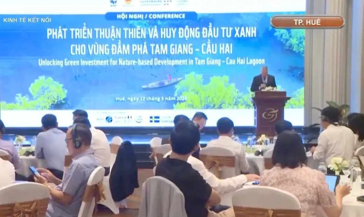 Huế khẳng định vị thế &ldquo;Th&agrave;nh phố Xanh Quốc gia 2026&rdquo;- Ảnh 1.