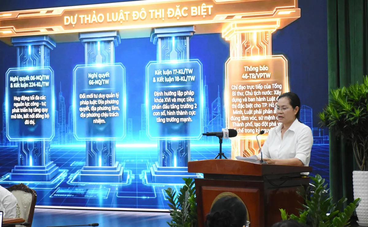 Luật đô thị đặc biệt: Kiến tạo đường ray cho đầu tàu kinh tế - Ảnh 2.