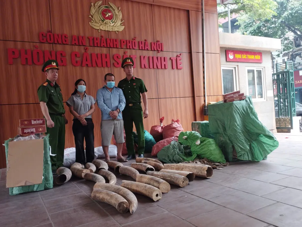 Khởi tố 4 đối tượng mua b&aacute;n 242 kg ng&agrave; voi - Ảnh 1.