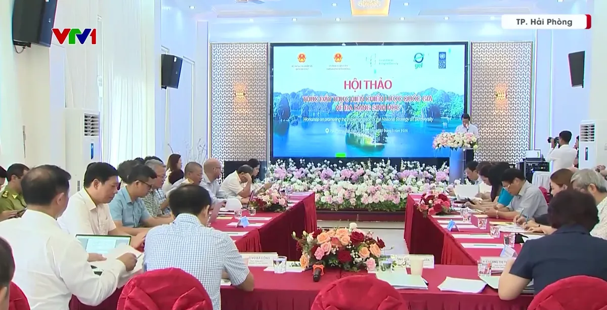 Hải Phòng tổ chức nhiều hoạt động thiết thực hưởng ứng Ngày Quốc tế Đa dạng sinh học - Ảnh 1.