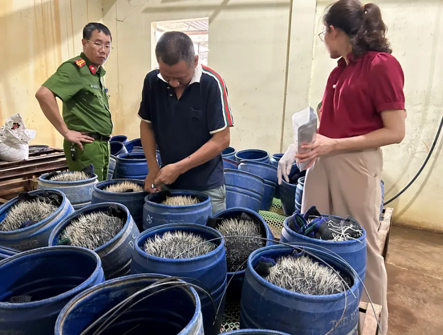 Phát hiện cơ sở sản xuất giá đỗ dùng chất cấm tại Hải Phòng- Ảnh 1. Phát hiện cơ sở sản xuất giá đỗ dùng chất cấm tại Hải Phòng- Ảnh 1.