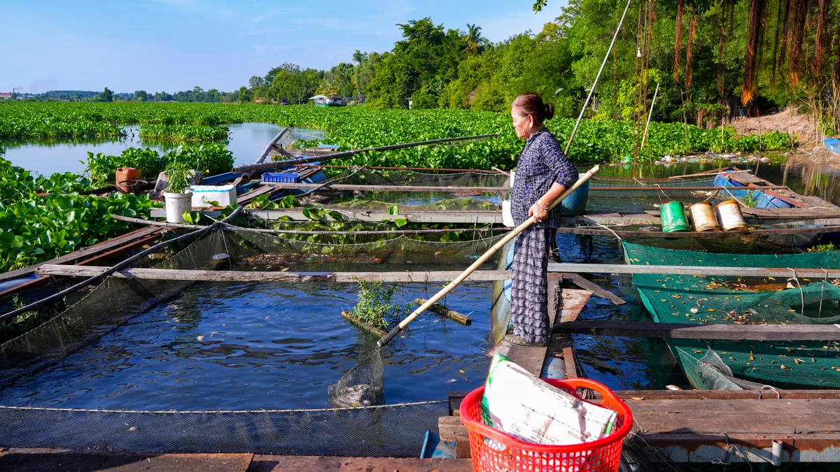 Nước đen, cá chết tái diễn trên sông Vàm Cỏ Đông: Không loại trừ nguồn ô nhiễm xuyên biên giới - Ảnh 3.