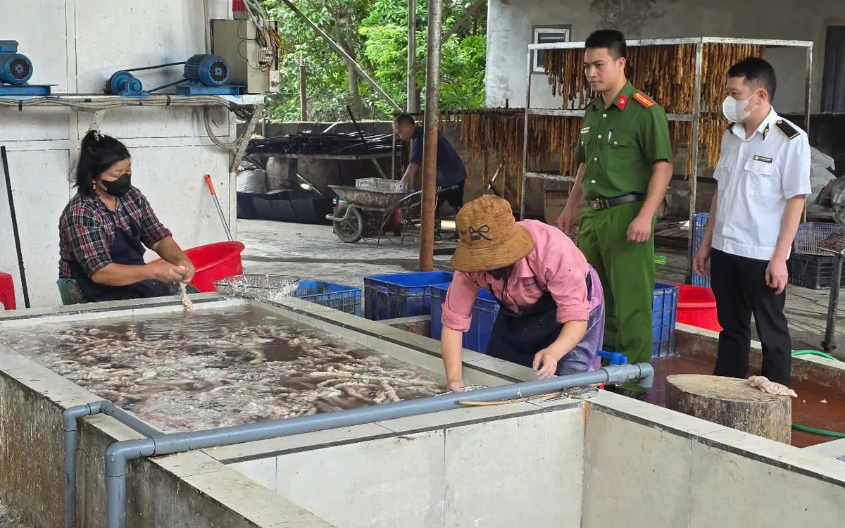 Ph&aacute;t hiện cơ sở kinh doanh hơn 3 tấn l&ograve;ng lợn mốc, bốc m&ugrave;i h&ocirc;i thối - Ảnh 2.