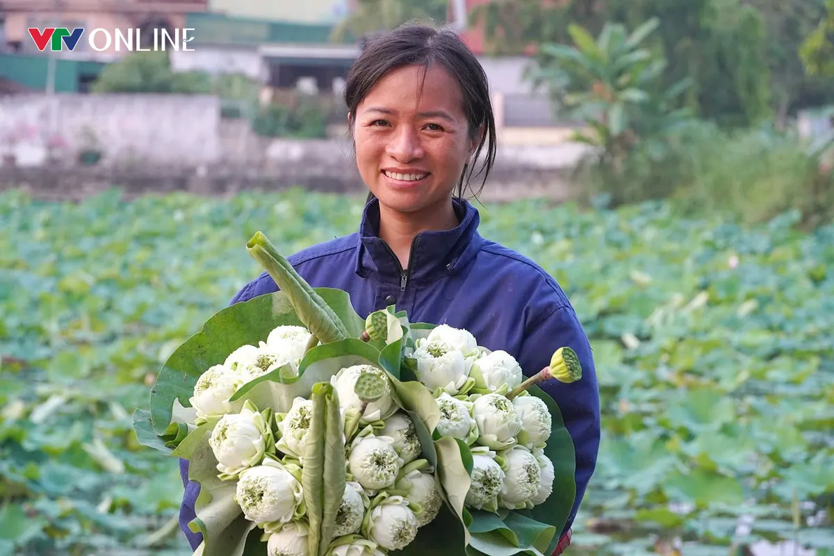 Cặp vợ chồng Nghệ An &ldquo;bỏ phố về qu&ecirc;&rdquo; trồng sen tr&ecirc;n qu&ecirc; hương B&aacute;c - Ảnh 2.