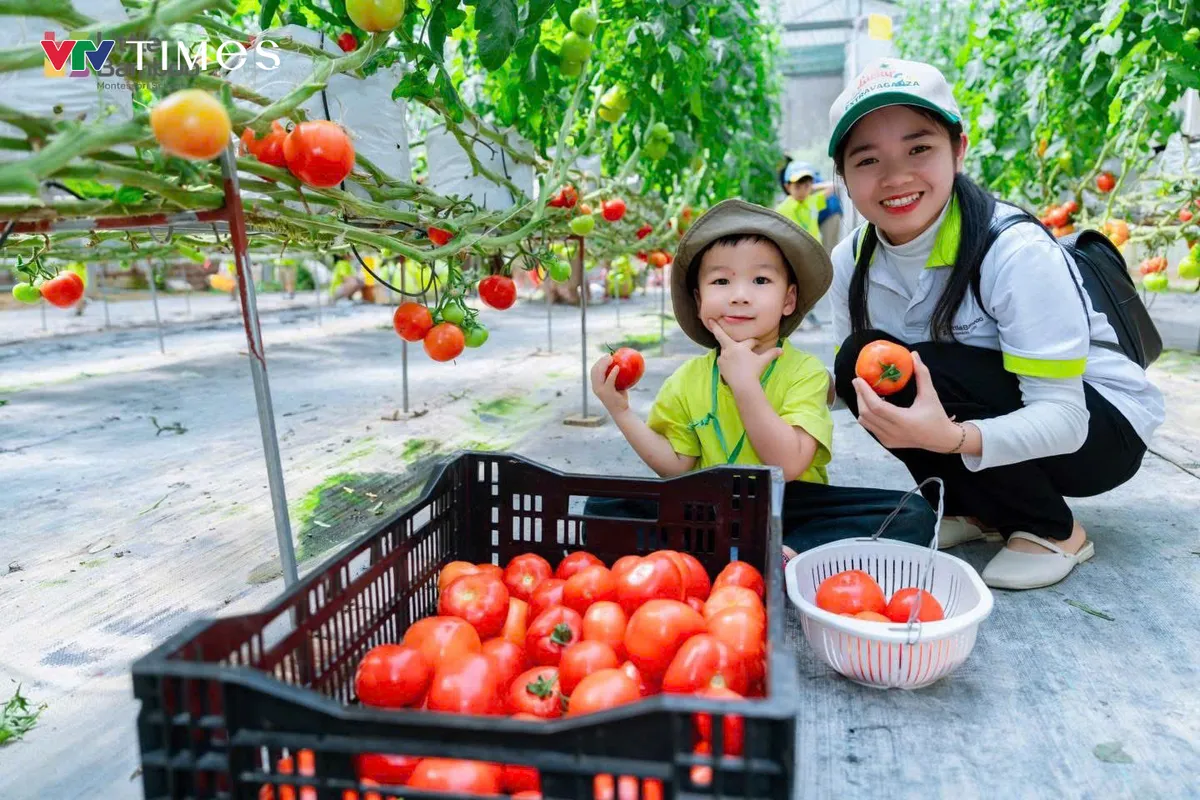 Bỏ lương cao, kỹ sư trẻ về quê làm trang trại nông nghiệp công nghệ cao - Ảnh 3.