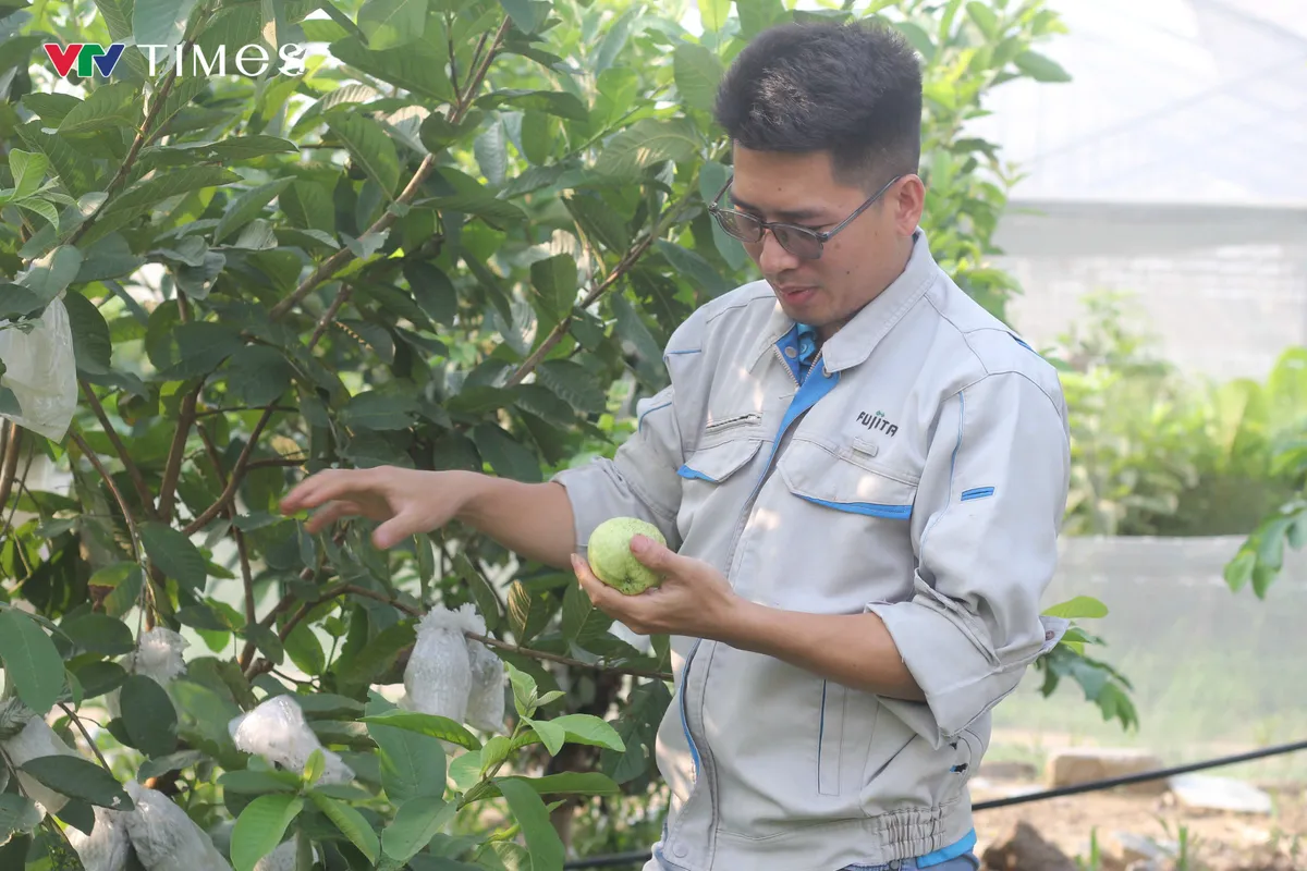 Bỏ lương cao, kỹ sư trẻ về quê làm trang trại nông nghiệp công nghệ cao - Ảnh 2.