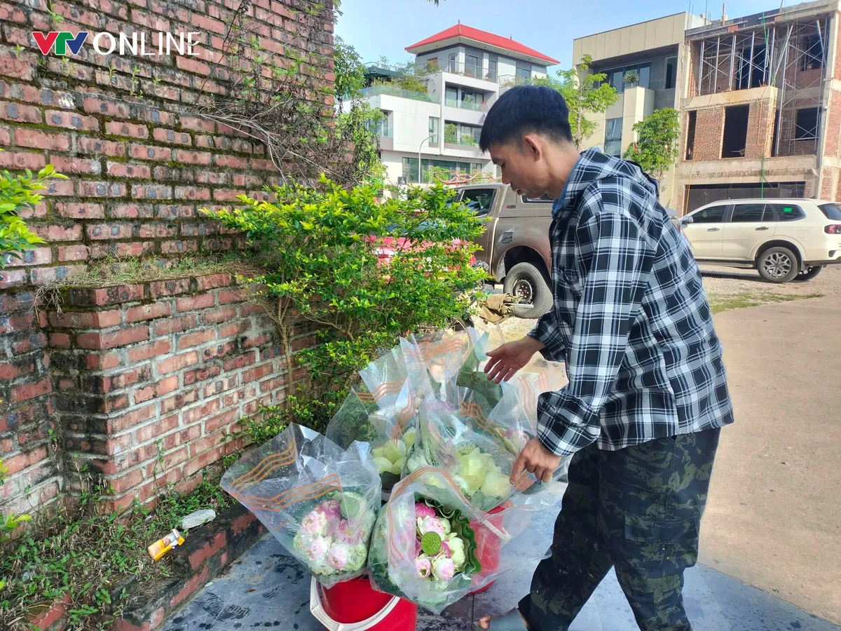 Cặp vợ chồng Nghệ An &ldquo;bỏ phố về qu&ecirc;&rdquo; trồng sen tr&ecirc;n qu&ecirc; hương B&aacute;c - Ảnh 4.