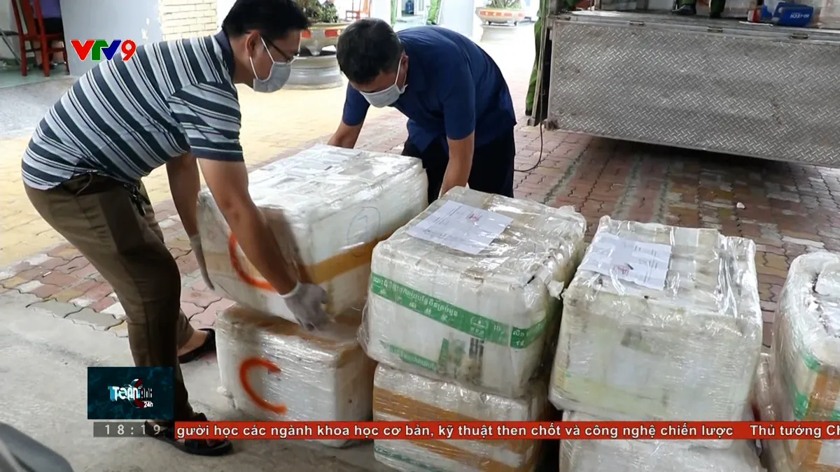 Kinh hoàng mục đích tiêu thụ chất độc xyanua trái phép