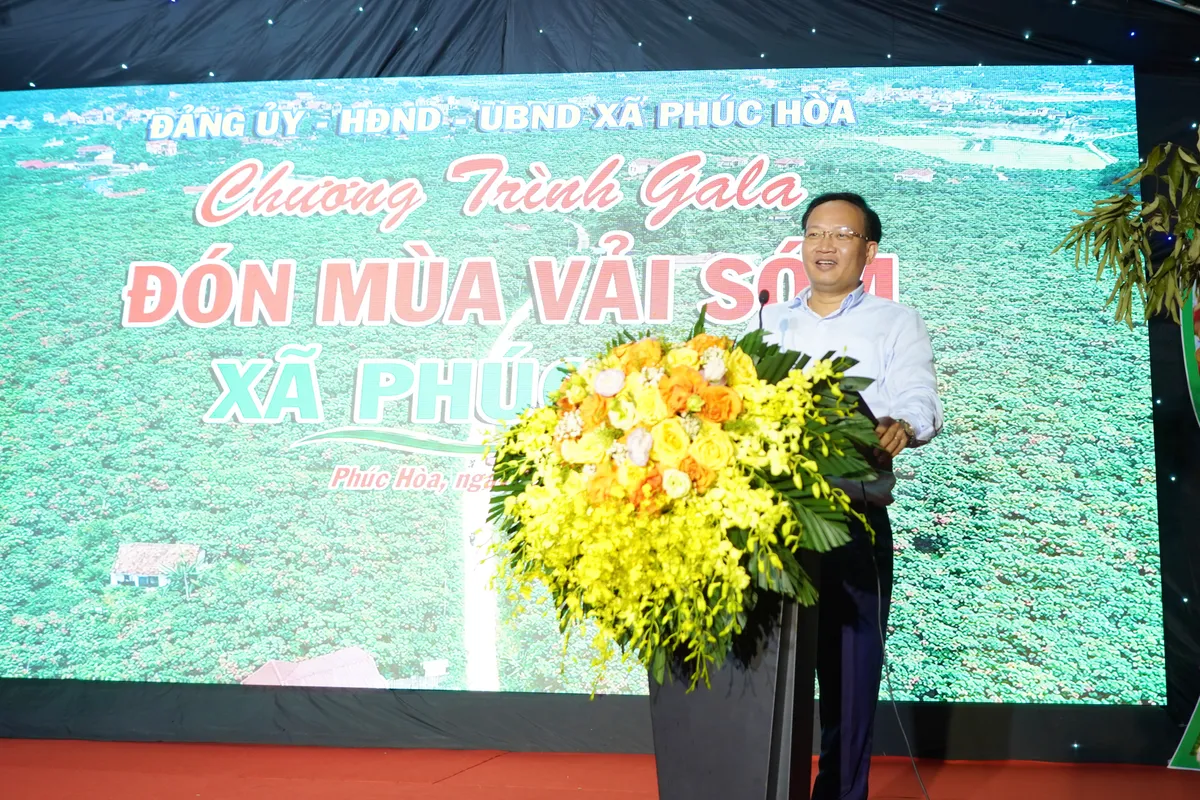 Ph&uacute;c H&ograve;a, Bắc Ninh: Đưa vải thiều ch&iacute;n sớm v&agrave;o h&agrave;nh tr&igrave;nh du lịch n&ocirc;ng nghiệp- Ảnh 1.