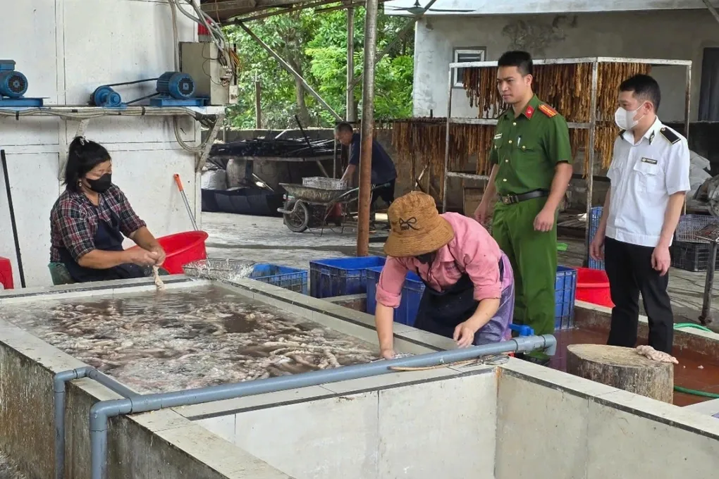 Bắc Ninh phát hiện hơn 3 tấn lòng lợn bốc mùi, không rõ nguồn gốc tại cơ sở kinh doanh- Ảnh 1. Bắc Ninh phát hiện hơn 3 tấn lòng lợn bốc mùi, không rõ nguồn gốc tại cơ sở kinh doanh- Ảnh 1.