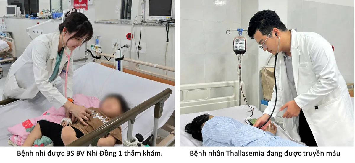 Thêm cơ hội cho bệnh nhi suy hô hấp và người mắc bệnh Thalassemia tại Côn Đảo- Ảnh 1. Thêm cơ hội cho bệnh nhi suy hô hấp và người mắc bệnh Thalassemia tại Côn Đảo- Ảnh 1.