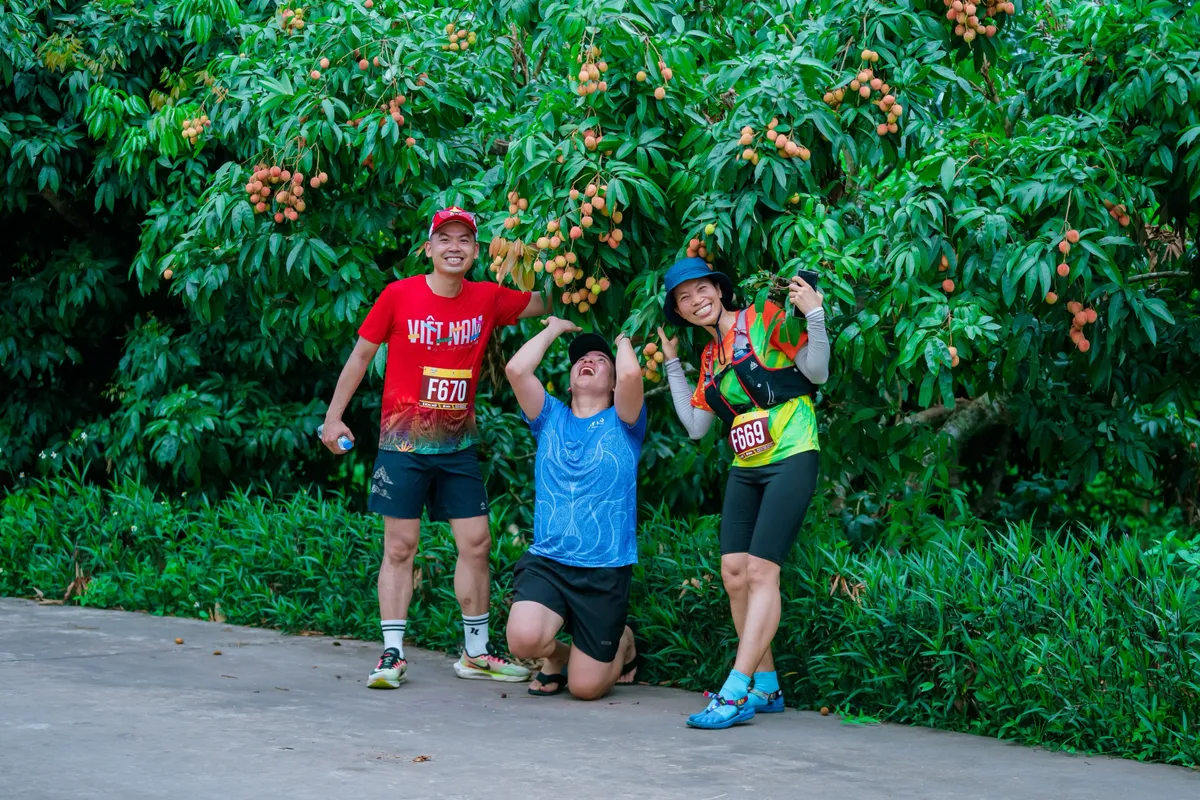 Ph&uacute;c H&ograve;a, Bắc Ninh: Đưa vải thiều ch&iacute;n sớm v&agrave;o h&agrave;nh tr&igrave;nh du lịch n&ocirc;ng nghiệp- Ảnh 2.