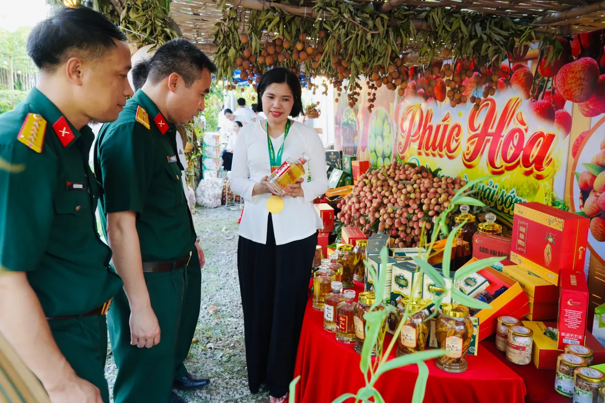 Ph&uacute;c H&ograve;a, Bắc Ninh: Đưa vải thiều ch&iacute;n sớm v&agrave;o h&agrave;nh tr&igrave;nh du lịch n&ocirc;ng nghiệp- Ảnh 5.