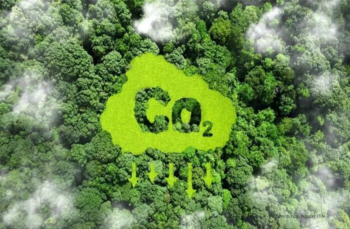 Từ tháng 7, giao dịch tín chỉ carbon rừng có hành lang pháp lý riêng- Ảnh 1. Từ tháng 7, giao dịch tín chỉ carbon rừng có hành lang pháp lý riêng- Ảnh 1.