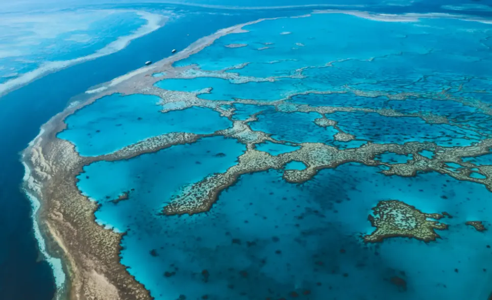 Cá mập tấn công gây chết người ở Australia- Ảnh 1. Cá mập tấn công gây chết người ở Australia- Ảnh 1.