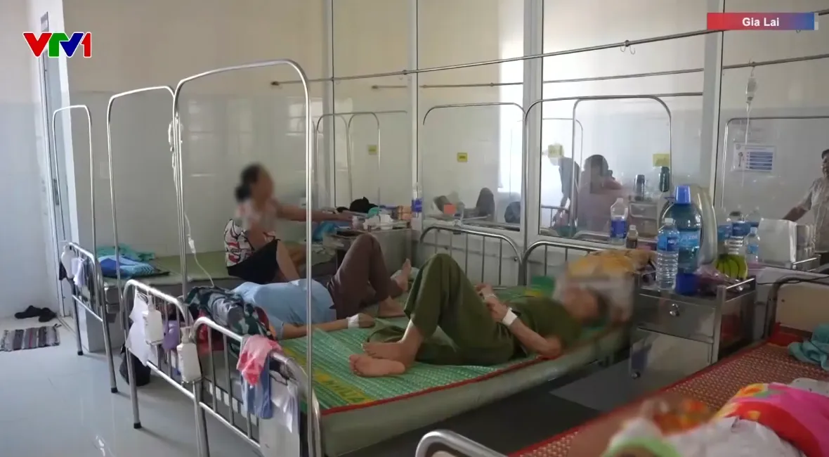 75 người nghi ngộ độc sau khi ăn bánh mì ở Gia Lai - Ảnh 1.