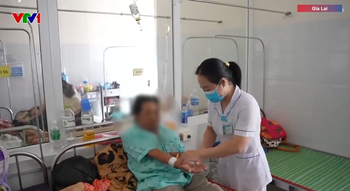 75 người nghi ngộ độc sau khi ăn bánh mì ở Gia Lai - Ảnh 2.