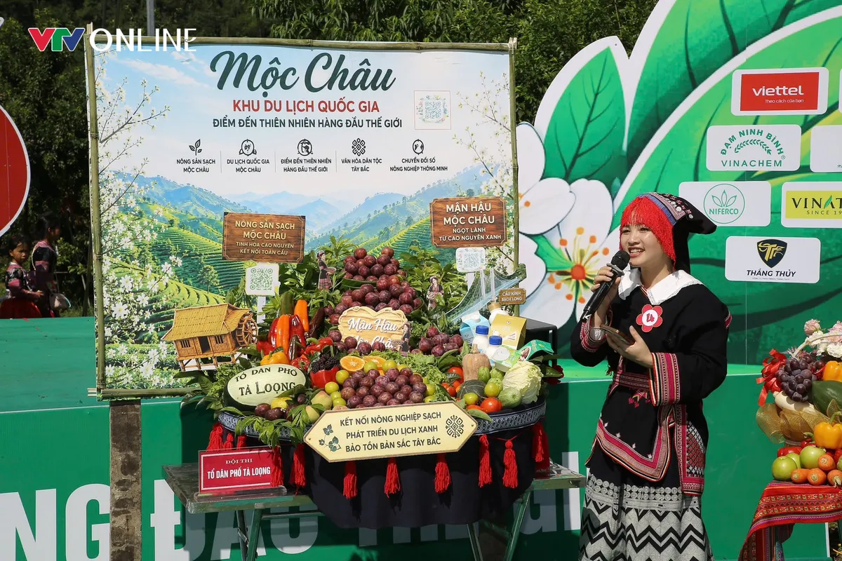 Mùa mận chín trên cao nguyên Mộc Châu - Ảnh 3.