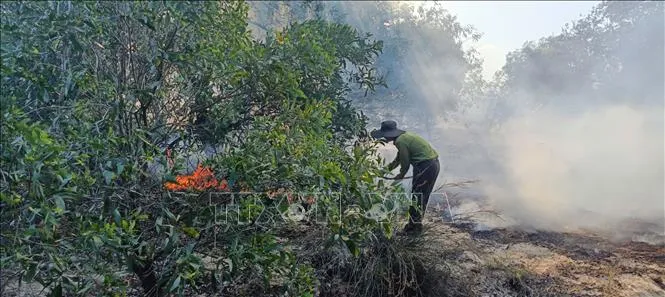 Quảng Trị: Cháy rừng tại giáp ranh hai xã Quảng Ninh và Ninh Châu - Ảnh 1.