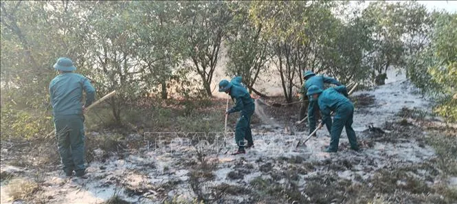 Quảng Trị: Cháy rừng tại giáp ranh hai xã Quảng Ninh và Ninh Châu - Ảnh 3.