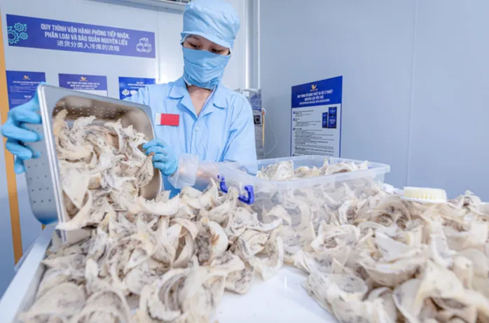 Cục Xuất nhập khẩu lưu ý thay đổi quan trọng với hàng thực phẩm vào Trung Quốc từ 1-6- Ảnh 1. Cục Xuất nhập khẩu lưu ý thay đổi quan trọng với hàng thực phẩm vào Trung Quốc từ 1-6- Ảnh 1.