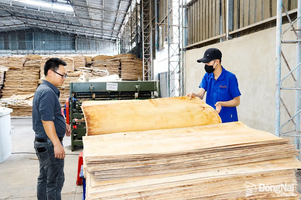 Khai thác cơ hội phát triển vật liệu gỗ kỹ thuật cho xây dựng xanh- Ảnh 1. Khai thác cơ hội phát triển vật liệu gỗ kỹ thuật cho xây dựng xanh- Ảnh 1.