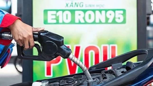 C&aacute;c h&atilde;ng xe tại Việt Nam l&ecirc;n tiếng về mức độ tương th&iacute;ch của xăng sinh học E10- Ảnh 1.