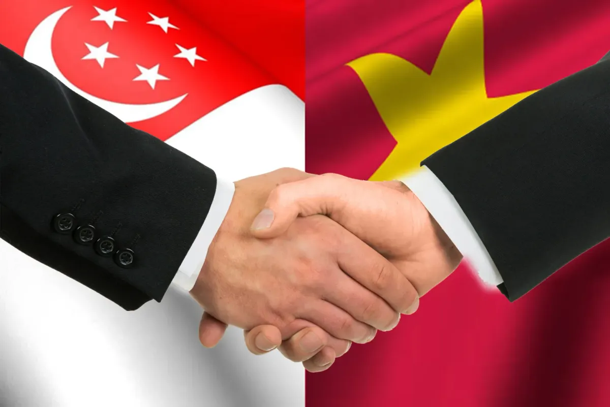 Quan hệ Việt Nam - Singapore mở rộng dư địa hợp t&aacute;c trong giai đoạn ph&aacute;t triển mới- Ảnh 1.