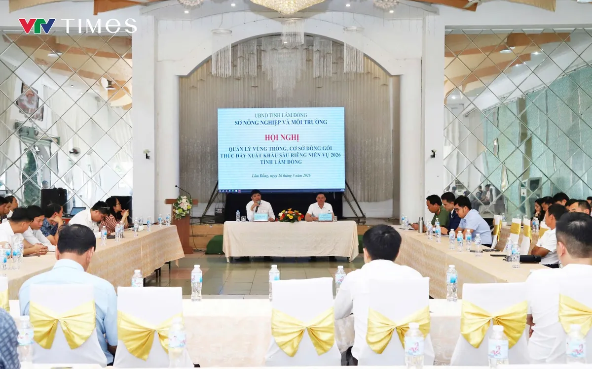 Lâm Đồng siết quản lý mã số vùng trồng sầu riêng xuất khẩu- Ảnh 3. Lâm Đồng siết quản lý mã số vùng trồng sầu riêng xuất khẩu- Ảnh 3.
