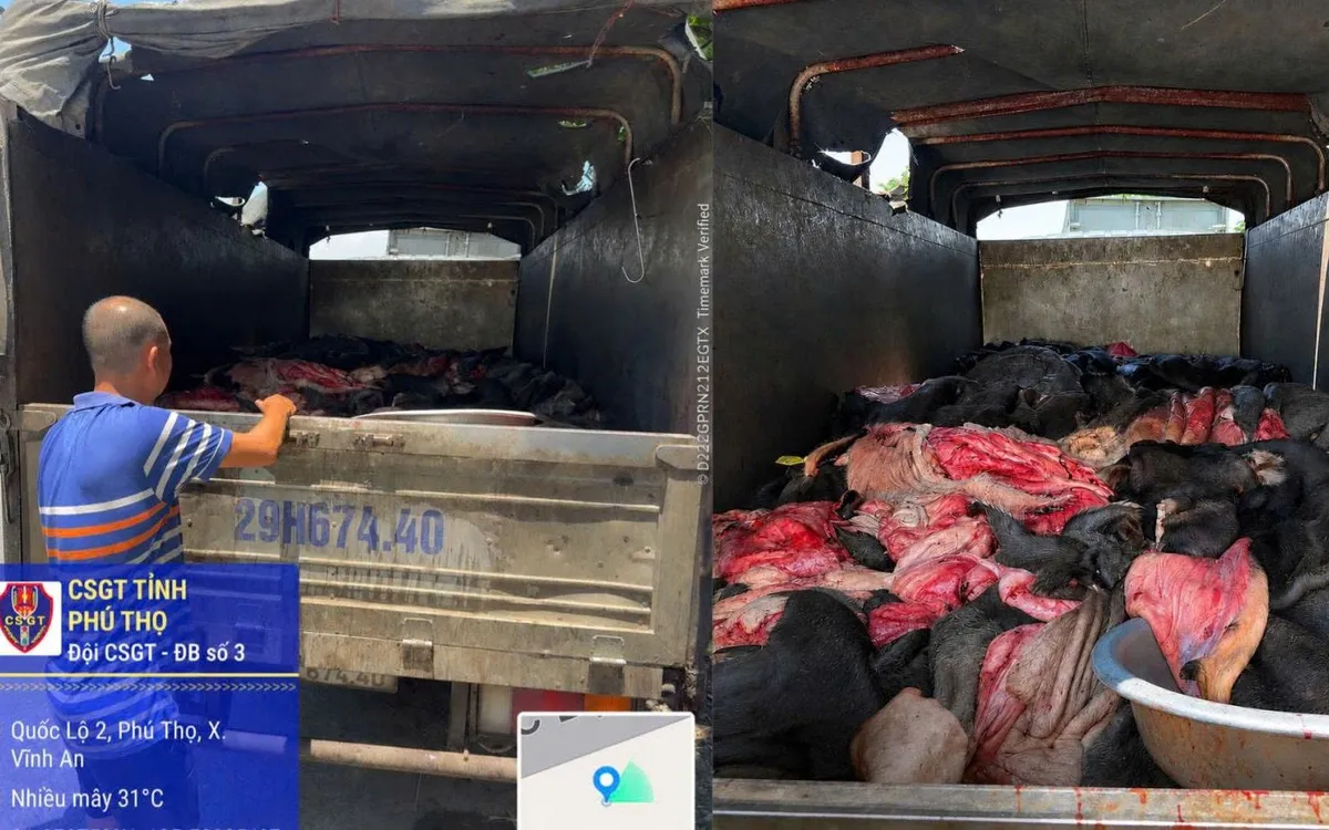 Hơn 4 tấn da trâu, bò hôi thối, không rõ nguồn gốc đang được vận chuyển đi Hà Nội tiêu thụ 