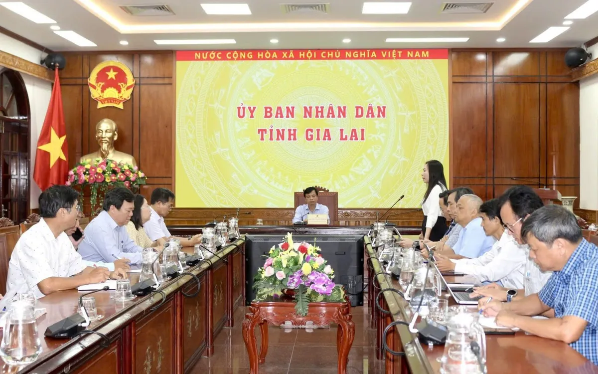 Ông Nguyễn Tuấn Thanh - Phó Chủ tịch tỉnh Gia Lai chủ trì, chỉ đạo cuộc họp.