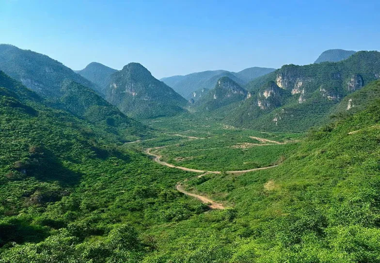 Gần 20 đối tượng rủ nhau vào rừng núi hiểm trở đánh bạc - Ảnh 1.